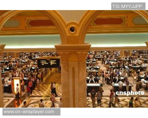 探索威尼斯人官网,感受赌城娱乐新体验 探索威尼斯人官网,感受赌城娱乐新体验